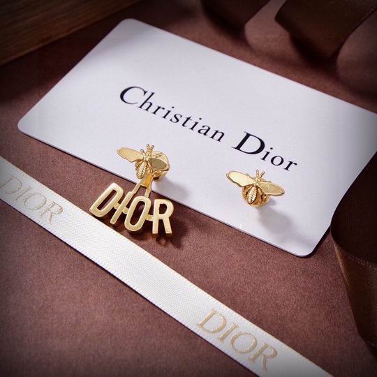 Dior Earring 01lyh255